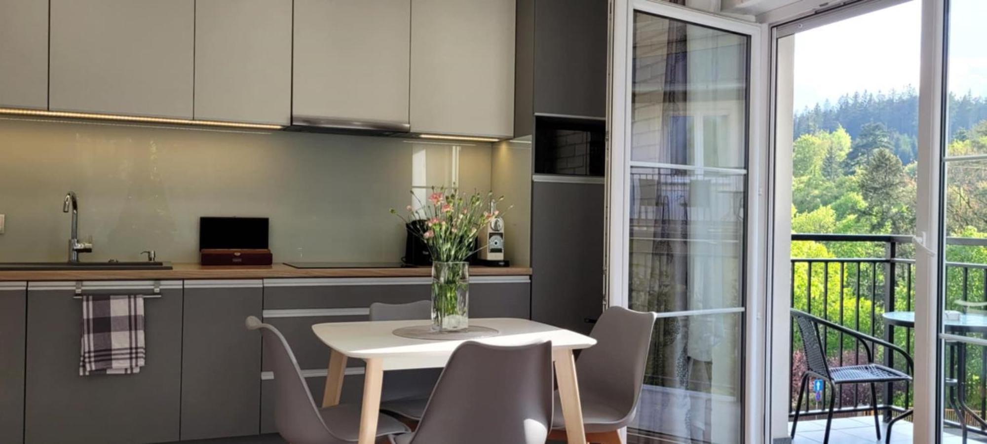 Apartament Juzo Villa Montain View Szklarska Poreba Dış mekan fotoğraf